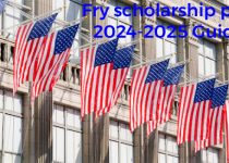 Fry scholarship program